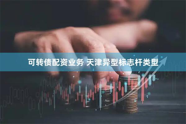 可转债配资业务 天津异型标志杆类型