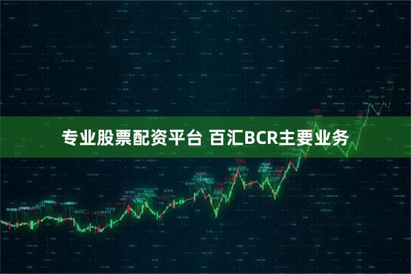 专业股票配资平台 百汇BCR主要业务