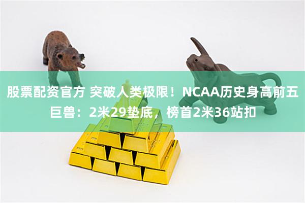 股票配资官方 突破人类极限!NCAA历史身高前五巨兽:2米29垫底,榜首2米36站扣